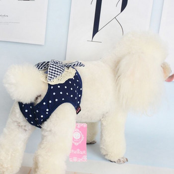 Εσώρουχα υγιεινής Γυναικεία παντελόνια κατοικίδιων σκύλων Δαντέλα πάνα για κατοικίδιο σκύλο Φυσιολογικό παντελόνι Σορτς Εσώρουχα Κοντό εσώρουχο που πλένεται