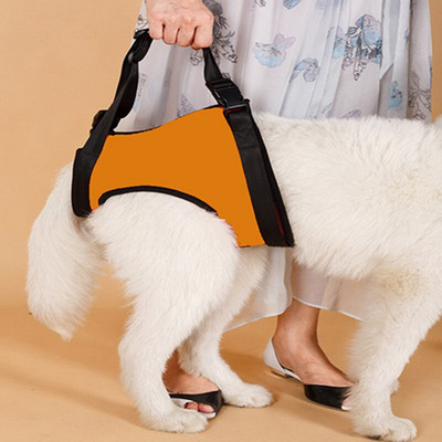 Ρυθμιζόμενη εσώρουχα σκύλου για πίσω πόδια που βοηθά τους ηλικιωμένους σκύλους με μειωμένη κινητικότητα ιμάντα ανύψωσης σκύλου για ηλικιωμένα άρρωστα κουτάβια κατοικίδιων