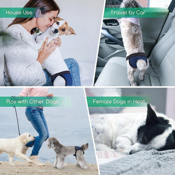 Πάνες για κορίτσια για κατοικίδια Σκύλος Puppy Παντελόνι Εσώρουχα για κατοικίδια Dog Physiological Diaper Dogs Εσώρουχα Υγιεινής Σορτς Αξεσουάρ για κατοικίδια με 3 σερβιέτες