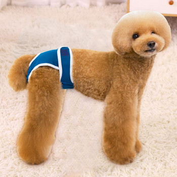 Lovely Fashion Dog βαμβακερά εσώρουχα εμμήνου ρύσεως Αναπνεύσιμα φυσιολογικά εσώρουχα Προμήθεια κατοικίδιων Γυναικεία εσώρουχα βολικά για χρήση