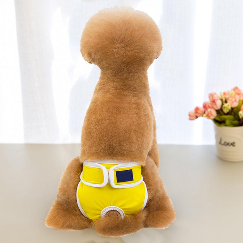 Krásne módne bavlnené menštruačné spodné prádlo pre psov, priedušné fyziologické nohavičky pre domáce zvieratá, dámske nohavičky, pohodlné na nosenie