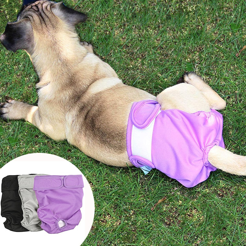 Mähkmed emastele koertele menstruatsiooni aluspesu mähkmed aluspüksid korduvkasutatavad rasestumisvastased hügieenilised aluspüksid väikestele suurtele koertele lemmikloomad