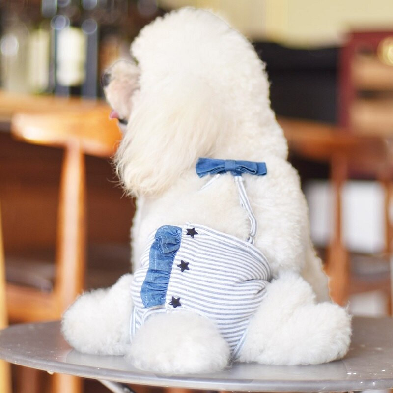 Pantaloni fiziologici sanitari pentru animale de companie pentru fete, femei, pantaloni scurți pentru câini, scutece, lenjerie de corp pentru câini, chiloți lavabili, articole pentru animale de companie, chihuahua