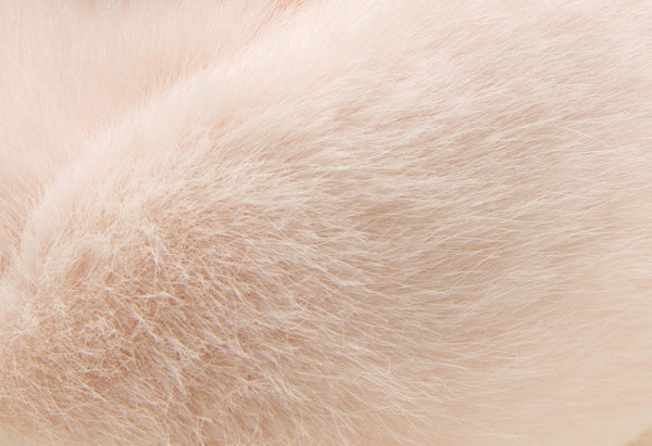 Detské papuče pre dievčatá v dvoch farbách