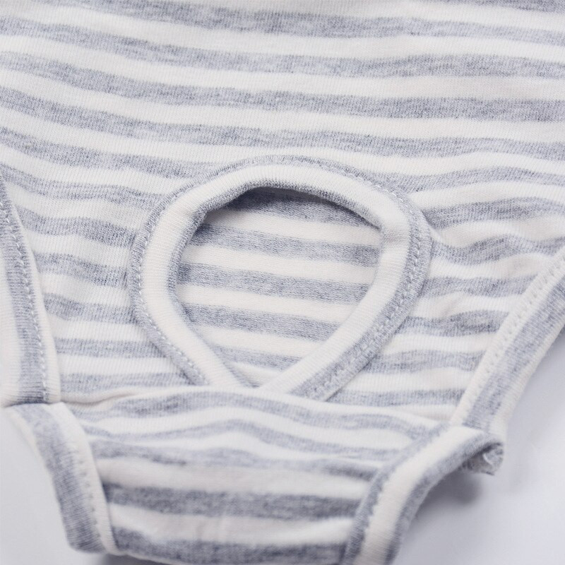 Triibuline ühes tükis rihm Lemmiklooma füsioloogilised püksid koera menstruatsioonipüksid kaisukaru kutsikas hügieenipüksid koera aluspüksid koera aluspüksid