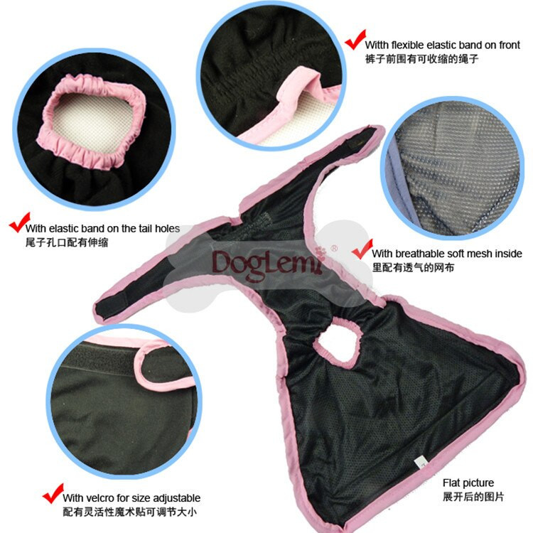 Pantaloni fiziologici pentru câini Chiloți pentru câini respirabili și absorbanți Pantaloni pentru câini bacteriostatici