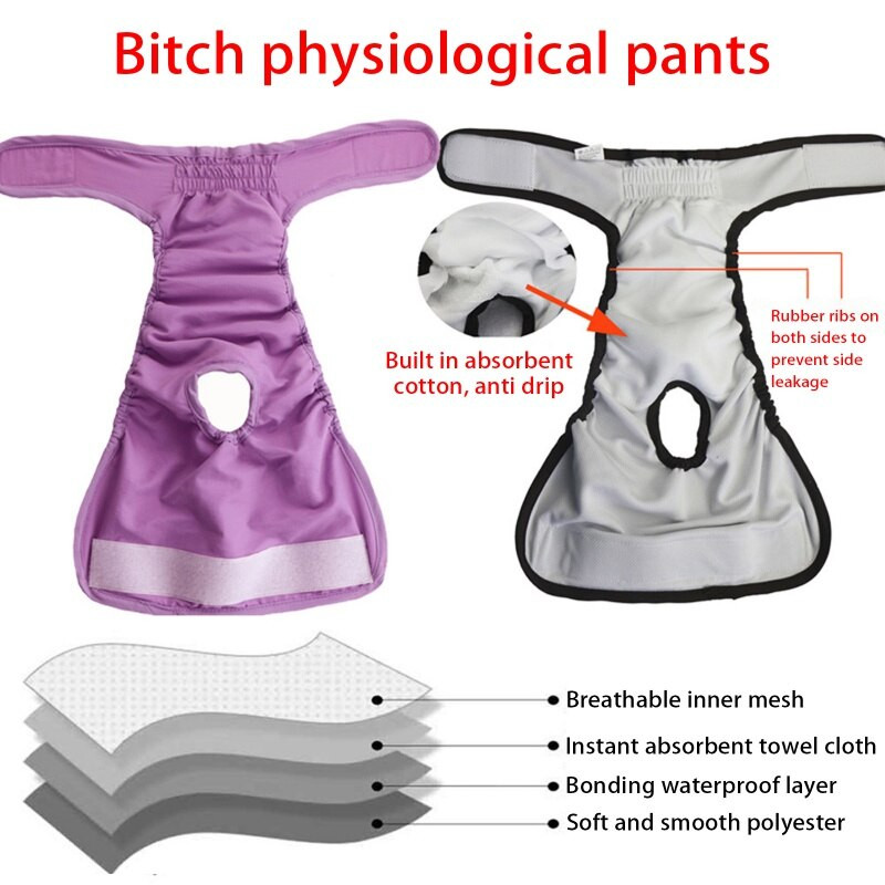 Εσώρουχα για κατοικίδια Φυσιολογικό σορτς υγιεινής Πάνες σκύλου Physiological παντελόνι Μαλακό πλενόμενο θηλυκό σορτς σκύλου