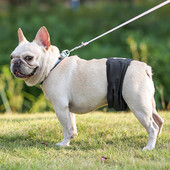 Vastupidav lemmikloomade sanitaarpükste kinnitus Teip Koerte mähkmed Korduvkasutatavad pehmed lemmikloomakoerte turvapüksid