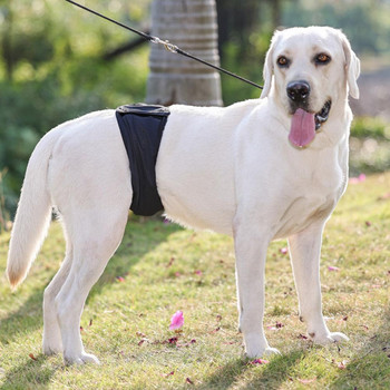 Издръжлива лента за закопчаване на санитарен панталон за домашни любимци Пелени за кучета Меки предпазни панталони за домашни кучета за многократна употреба