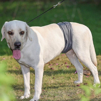 Издръжлива лента за закопчаване на санитарен панталон за домашни любимци Пелени за кучета Меки предпазни панталони за домашни кучета за многократна употреба