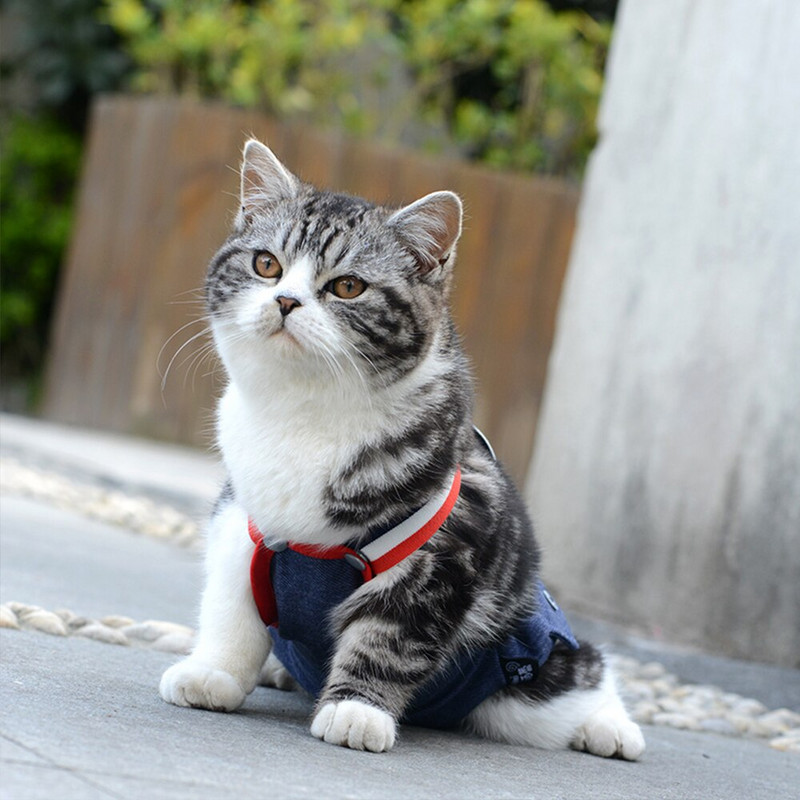 Fyziologické nohavičky pre domáce zvieratá, prateľné plienky pre ženy, hygienické šortky, oblečenie pre psov, spodná bielizeň, produkty pre domáce zvieratá