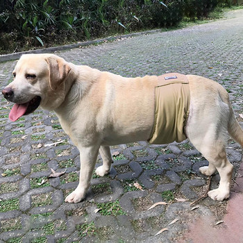 Βολικά εσώρουχα για σκύλους, επαναχρησιμοποιήσιμες πάνες κατοικίδιων, παντελόνια ελαστικό λουράκι Εσώρουχα υγιεινής για αρσενικά σκυλιά