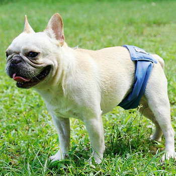 Удобно бельо за кучета Пелени за домашни любимци за многократна употреба Панталони Еластична лента Леки до кожата Санитарни гащички за мъжки кучета