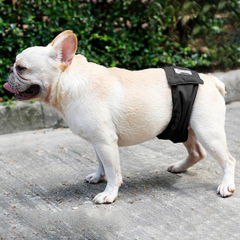 Βολικά εσώρουχα για σκύλους, επαναχρησιμοποιήσιμες πάνες κατοικίδιων, παντελόνια ελαστικό λουράκι Εσώρουχα υγιεινής για αρσενικά σκυλιά