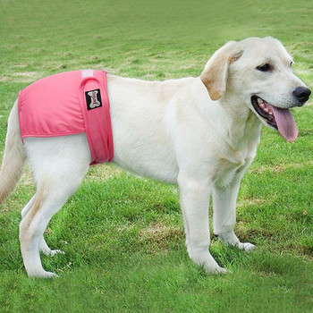 Σορτς πάνα για σκύλους για μεγάλο σκύλο Γυναικείο υγιεινής κατοικίδιο ζώο Big Dog Physiological Pants Παντελόνια Θηλυκά Dog Cat Πάνες Εσώρουχα