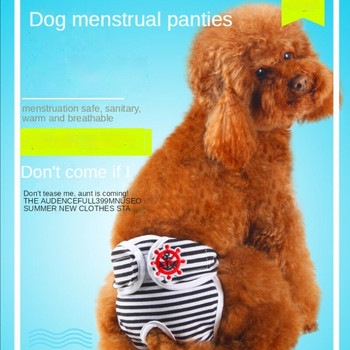 Кучешки гащички Теди Предпазни хигиенни панталони Менструални панталони Женско кучешко бельо Физиологични панталони Долни гащички Панталони за леля