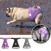 Pantaloni scurți pentru femeie pentru câini Scutec Igienă pentru animalele de companie Pantaloni scurti fiziologici Dot Fată Câini Lenjerie intima Chiloți lavabili