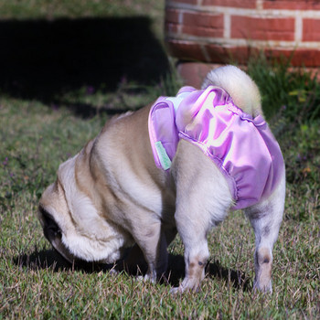 Γυναικεία σορτς για σκύλους πάνα για κατοικίδια υγειονομική φυσιολογική κοντό παντελόνι Dot girl dogs Εσώρουχα που πλένονται