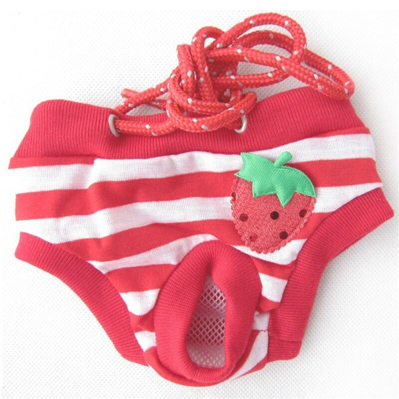 Πάνες για κατοικίδια σκύλους Υγιεινές φυσιολογικά παντελόνια που πλένονται βαμβακερά σλιπ για κατοικίδια πάνες εσώρουχα εμμηνόρροιας για κατοικίδια οικιακά προμήθειες