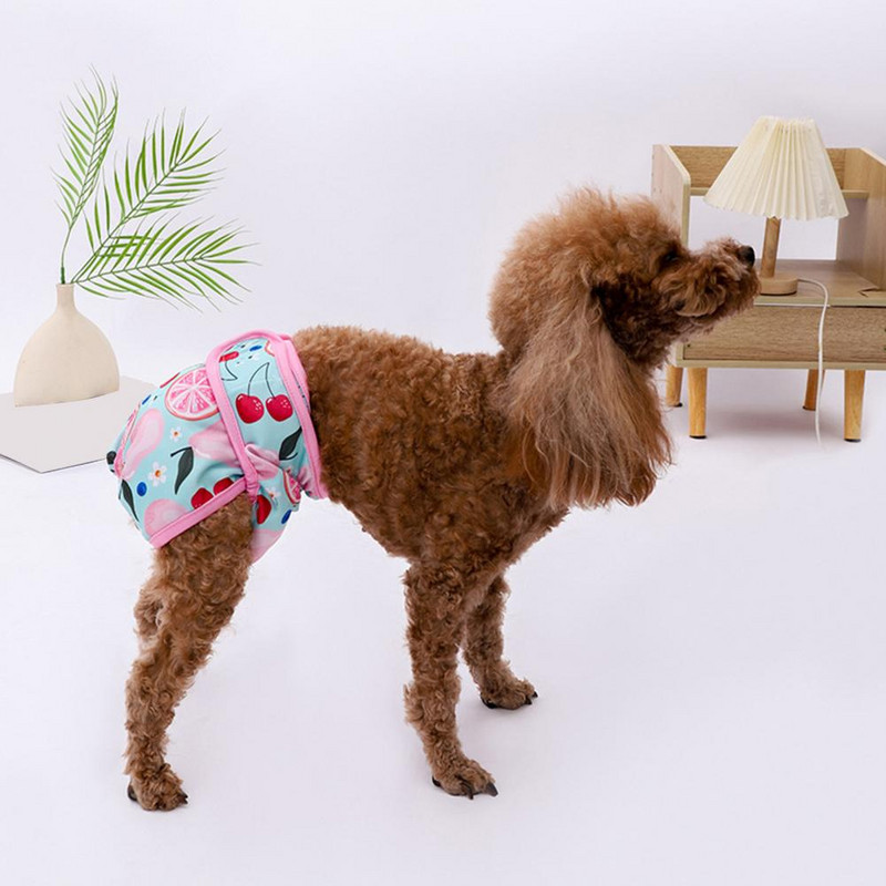 Durabil, drăguț, imprimare fructe pentru animale de companie, câine, pantaloni sanitari, scutec pentru câini, ușor de purtat, anti-infectie