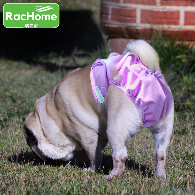 Scutece pentru femeie pentru câini Chiloți cu pantaloni fiziologici pentru animale de companie Pantaloni fiziologici pentru câini pentru animale de companie Lenjerie de corp Scutece pentru câini