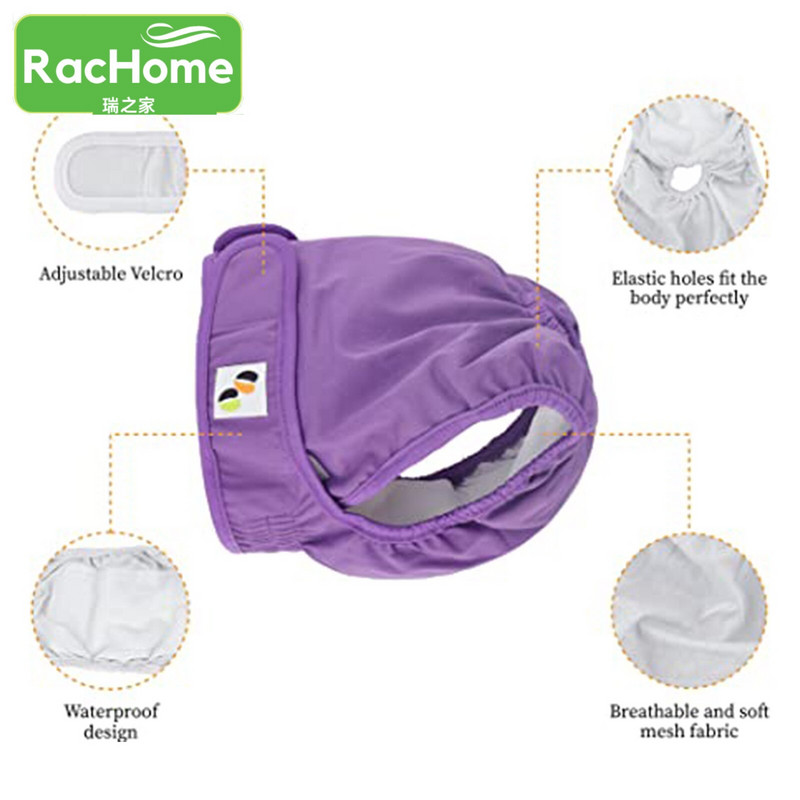 Koerte mähkmepüksid Naiste koerte mähkmete aluspesu Naiste koerte mähkmed lemmikloomade koerad füsioloogilised püksid lemmiklooma füsioloogilised püksid aluspüksid