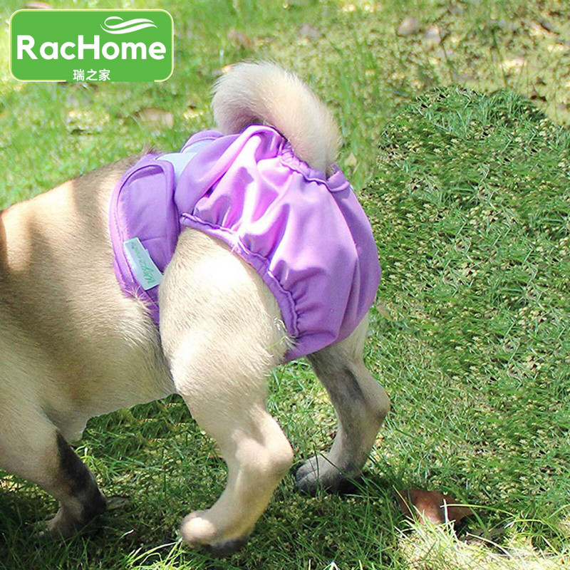 Koerte mähkmepüksid Naiste koerte mähkmete aluspesu Naiste koerte mähkmed lemmikloomade koerad füsioloogilised püksid lemmiklooma füsioloogilised püksid aluspüksid