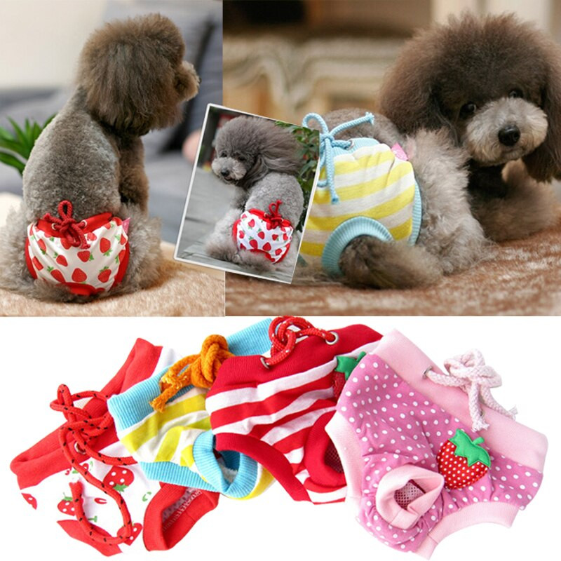 Pantaloni scurți sanitari pentru câini cu buline cu buline Pantaloni fiziologici pentru câini de companie Pantaloni scurți pentru cățeluși drăguți pentru menstruație Slip S-XL