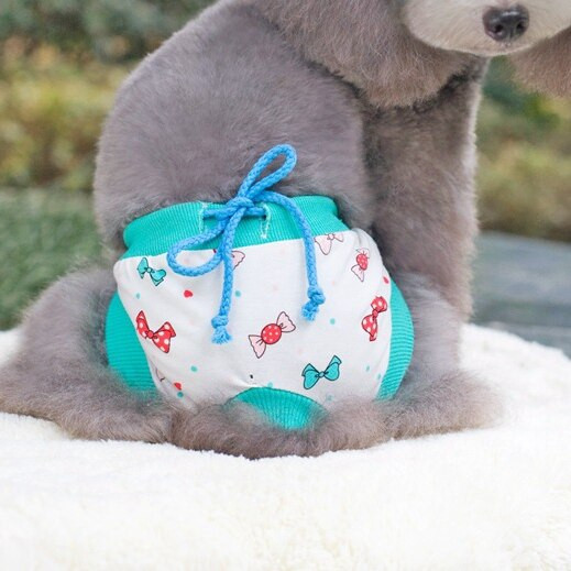 Παντελόνι υγιεινής κοριτσιών για σκύλους Βαμβακερά μαλακά άνετα κουτάβια κατοικίδιων ζώων γάτα Γυναικεία εσώρουχα Κοστούμια SML Προϊόντα Pugs