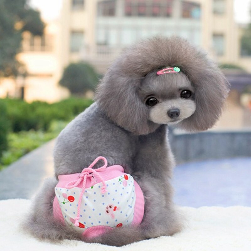 Παντελόνι υγιεινής κοριτσιών για σκύλους Βαμβακερά μαλακά άνετα κουτάβια κατοικίδιων ζώων γάτα Γυναικεία εσώρουχα Κοστούμια SML Προϊόντα Pugs