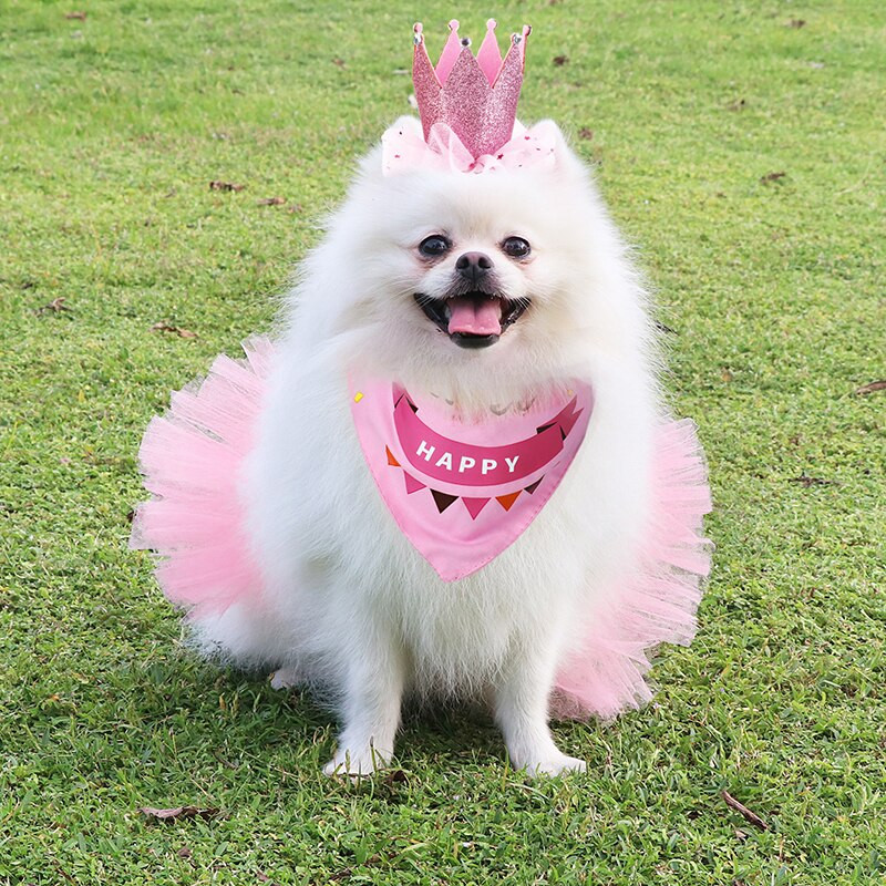 Šunų vakarėlio reikmenys Pet Tutu sijonas Bandana ir Crown Pet Gimtadienio kostiumo sijonas su Pet Crown galvos juosta