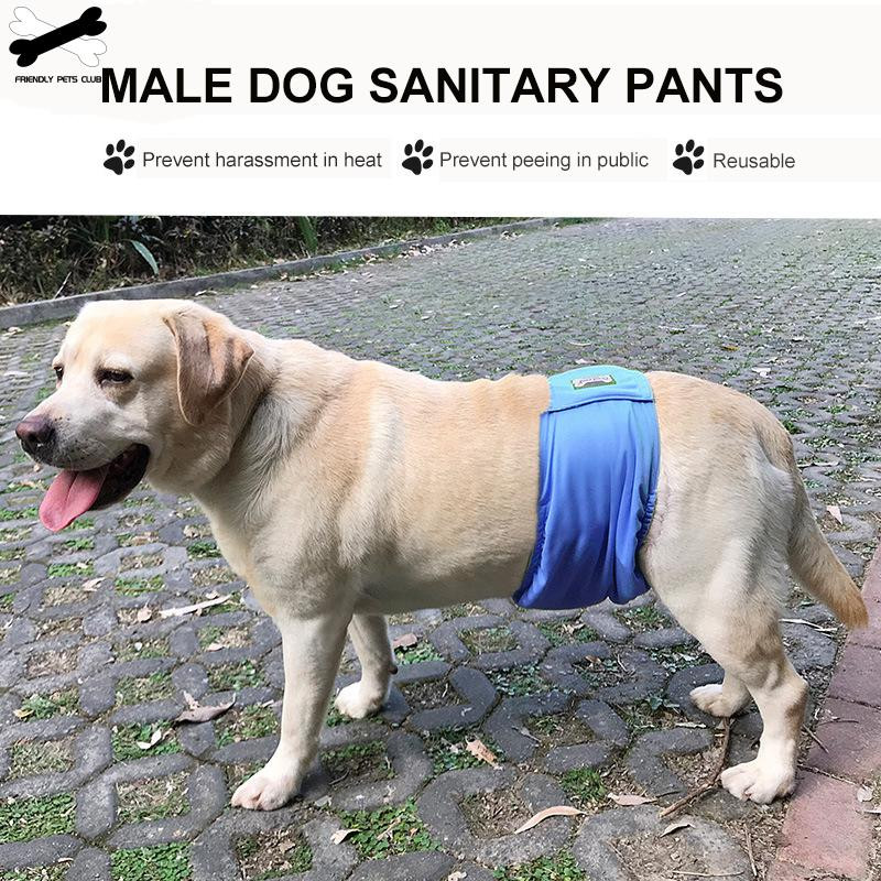 Hygienické nohavičky pre domáce zvieratá, plienky pre psov, chrániče fyziologických nosení pre psov, brušný plyšový medvedík so zlatými vlasmi, nepremokavé spodné nohavičky pre domáce zvieratá