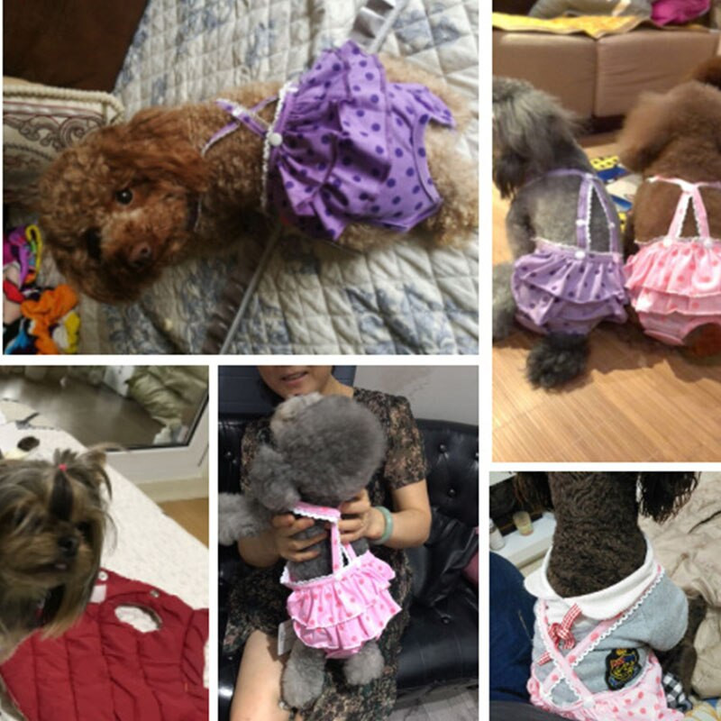 Scutec pentru câini de pluș, pantaloni fiziologici, rochie cu bretele cu buline