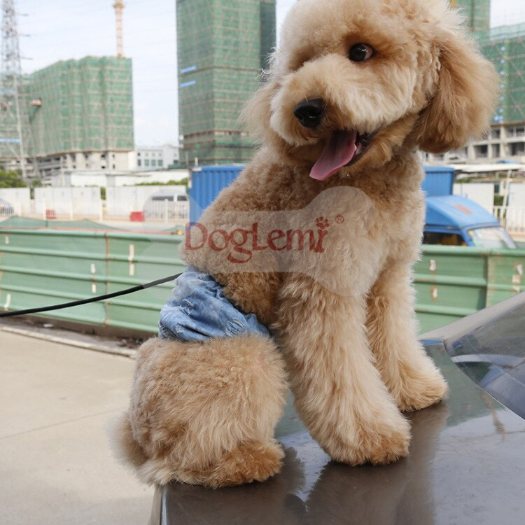 Μόδα κατοικίδιο σκύλος τρύπα τζιν φυσιολογικό κοστούμι ζώνης σκυλάκι Εμμηνορροϊκό παντελόνι κουτάβι σορτς ρούχα για σκύλους αξεσουάρ 1τμχ