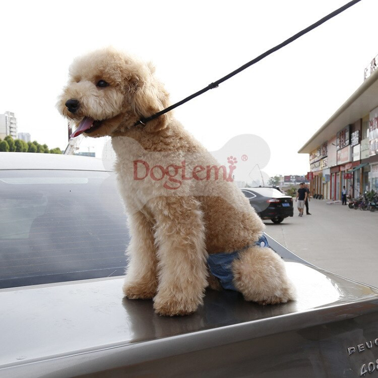 Μόδα κατοικίδιο σκύλος τρύπα τζιν φυσιολογικό κοστούμι ζώνης σκυλάκι Εμμηνορροϊκό παντελόνι κουτάβι σορτς ρούχα για σκύλους αξεσουάρ 1τμχ