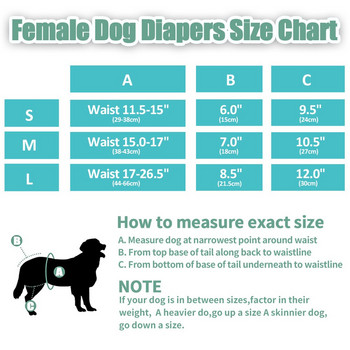 Soft Girl Dog Diaper Pet Dogs Φυσιολογικό παντελόνι για μεγάλους σκύλους Γυναικεία κιλότα σκυλιών που πλένονται υγιεινά Σορτς εσώρουχα