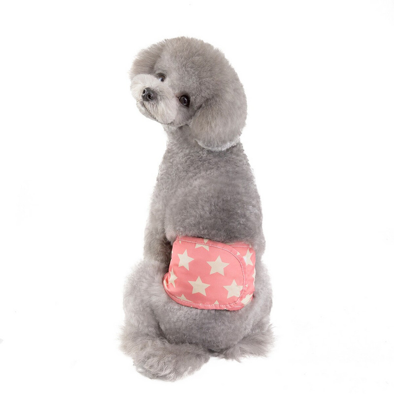 Maskovacie fyziologické nohavice pre psov, pohodlné šteňacie šortky, plienky pre malých psov a mačky, menštruačné nohavice pre psov