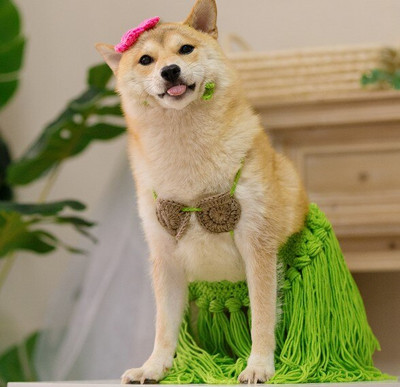 Dog Clothes Pets Funny French Fighting Pugs Corgis Funny Grass Skirts Vibrato Cats Pets Bikini Shooting Props Funny Clothes