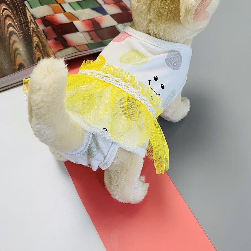 Naminio gyvūno šuns fiziologinės sanitarinės kelnės Animacinių filmų verpalų sijonas Keturkojis Vienetinės menstruacinės kelnės šuniuko katės vystyklai augintinio kostiumas