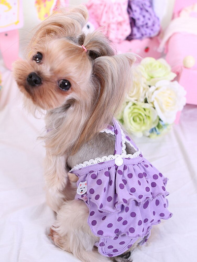 Chovateľské potreby Menštruačné nohavice pre psov s bodkami, fyziologické nohavice s nastaviteľnými popruhmi, veľkoobchod s oblečením, plyšové oblečenie pre psov