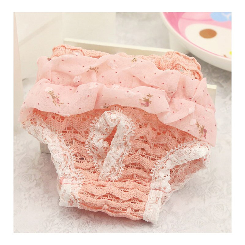 PETASIA Lovely Sifonki Emane Lemmikkoer Kutsika Aluspüksid Füsioloogilised Sanitaarpüksid Püksid Pestavad Lemmikloomapüksid Aluspesu Mähe L