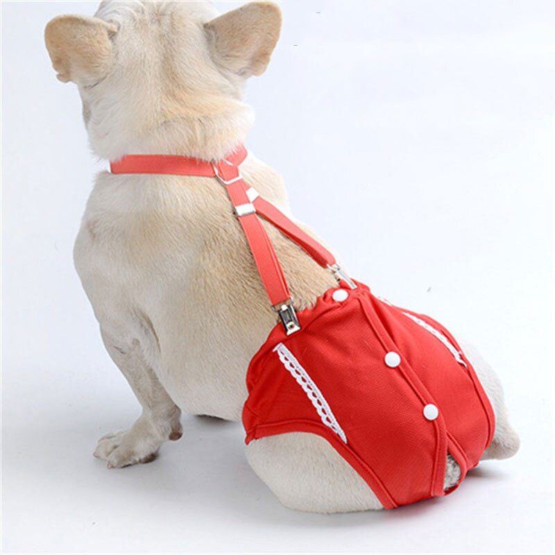 Armsad koerte mähkmetega reguleeritava rihmaga emase koera kassi füsioloogilised aluspesu püksid väikestele keskmistele koertele lühikesed püksid tüdrukute koertele