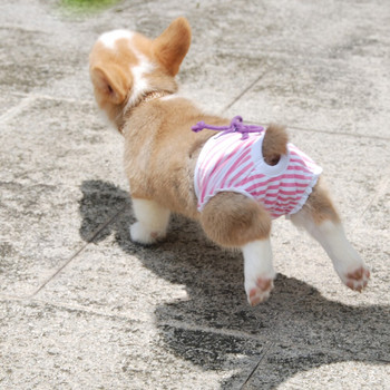 Пелена за физиологични панталони за домашни любимци Санитарни миещи се женски шорти за кучета Гащички за менструално бельо Гащи