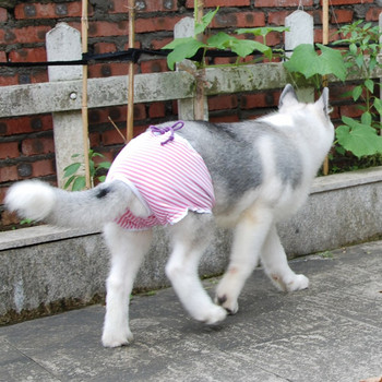 Παντελόνι Pet Physiological Παντελόνι Υγιεινής που πλένεται Γυναικεία σορτς για σκύλους Εσώρουχα εμμηνόρροιας σλιπ