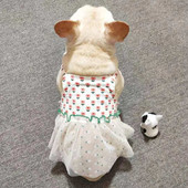 Rochie de prințesă pentru câini de companie, fustă de primăvară, vară, haine pentru câini de talie mică, mijlocie, cățeluș, buldog francez, ținute pentru câini