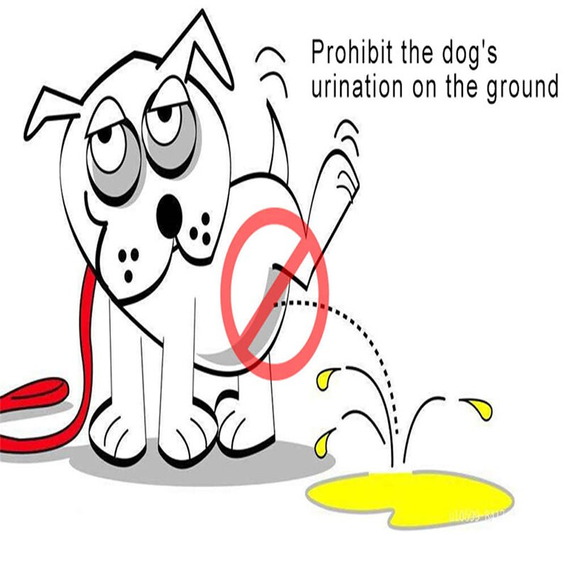 Pestavad lemmikloomakoerte mähkmed Isased imav reguleeritav kutsikas suur koer füsioloogilised püksid koertele korduvkasutatavad lemmikloomad koerad aluspüksid lühikesed püksid