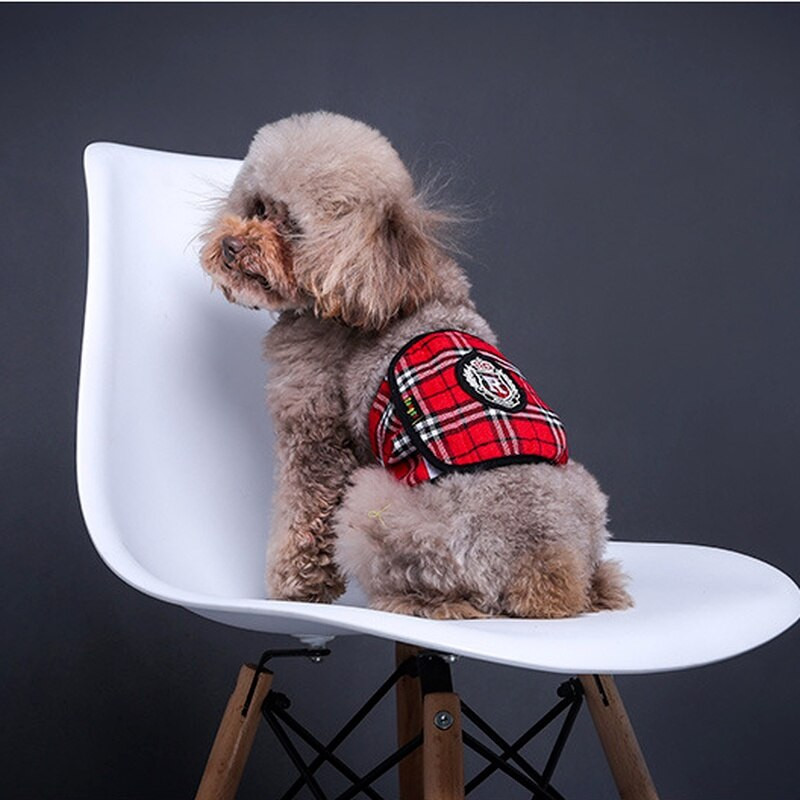 Pantaloni drăguți de siguranță pentru animale de companie din desene animate Câini mici și mijlocii Teddy Masculin Pantaloni de căldură Pantaloni de siguranță Anti-hărțuire Câine politicos