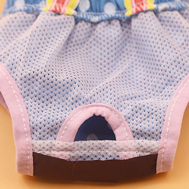 2021Nové spodné prádlo pre domáce zvieratá, čivava, proti obťažovaniu, menštruačné fyziologické nohavičky, prateľné dámske krátke nohavičky