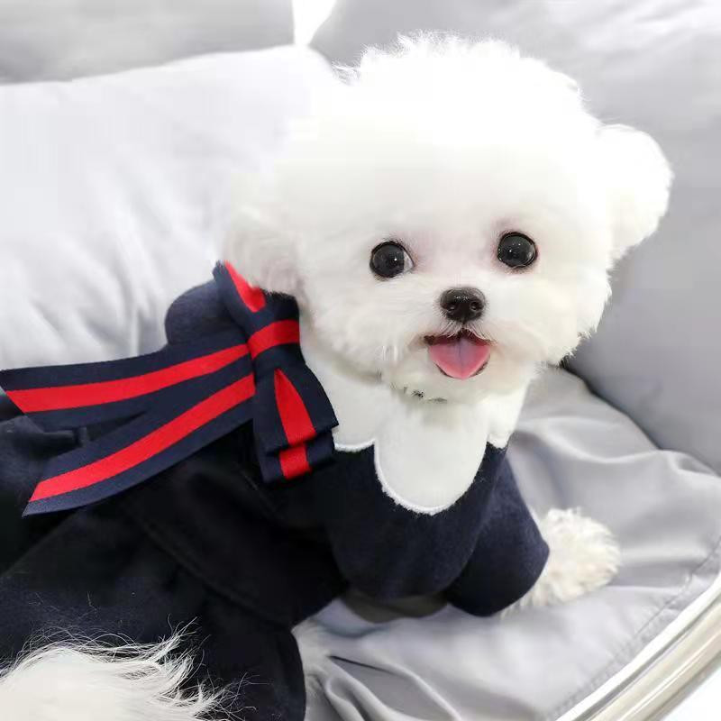 Rudens žiemos naminis šuo trumpas sijonas šiltas mados katės šuo Vilnonio audinio sijonas princesė mažiems šunims šuniukas Apranga