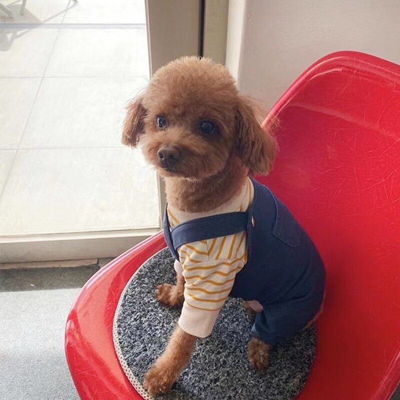 Rihm Kaheosalised koerariided Sügisene kutsika neljajalgsed riided Kaisusoojad Kombinesoonid Pehmemad kui karupüksid XS-XL